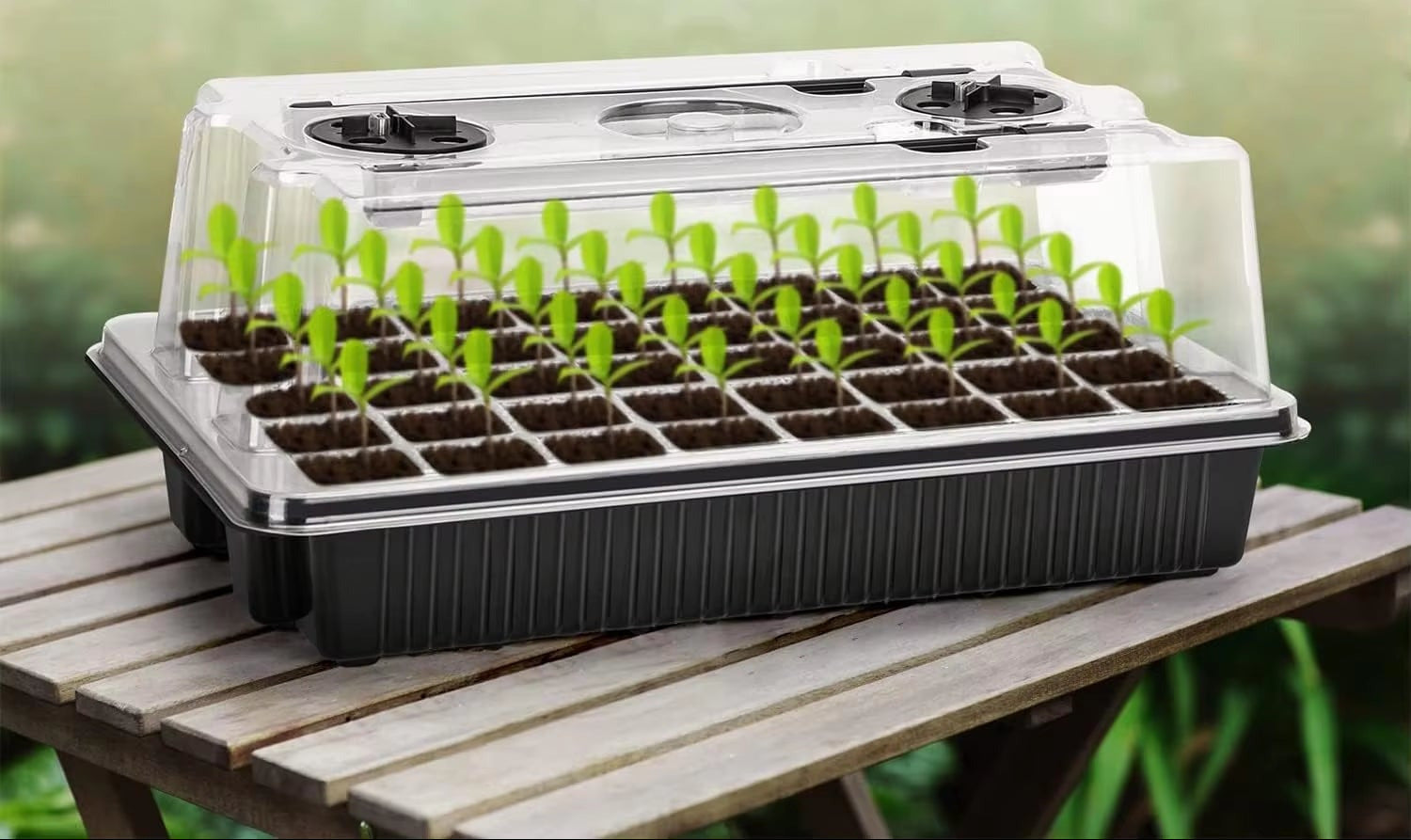 Leafaro™ SmartSeed Pro | Intelligentes Anzuchtset mit LED-Wachstumslicht