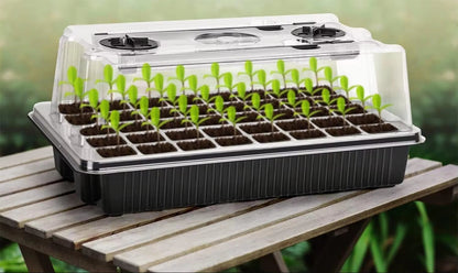 Leafaro™ SmartSeed Pro | Intelligentes Anzuchtset mit LED-Wachstumslicht