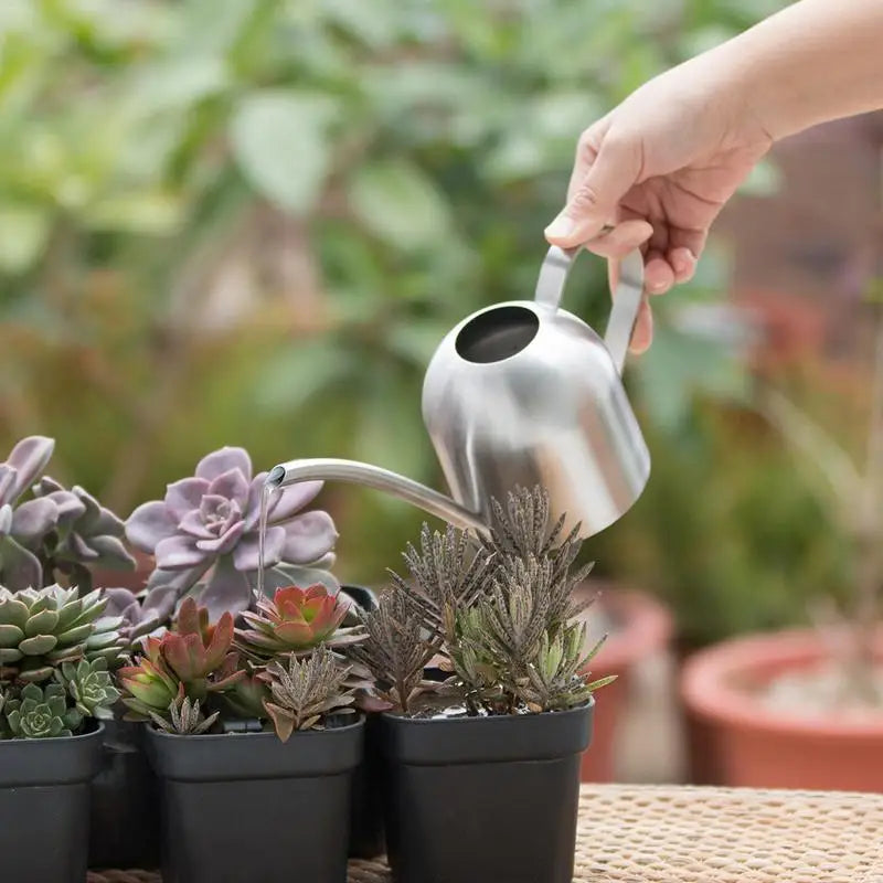Edelstahl Gießkanne Garten Topf Kleine Gießkanne Indoor Sukkulente Lange Bewässerung Blumen Kessel 500Ml # Cw